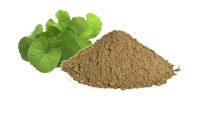 Organic Brahmi Powder 100g