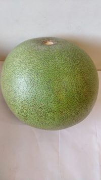 Organic Pomelo - Konkan