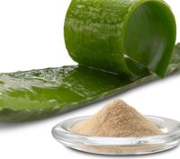 Organic Aloe Vera Powder Organic 100g