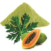 Organic Papaya Leaf Powder 100g