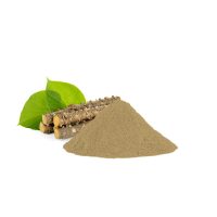 Organic Neem Giloy Powder 100g