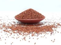 Organic Finger Millet Grain