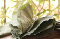 Organic Patra or Allu leaves - 1 Bunch (Konkan)