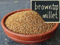Organic Browntop Millet Rice