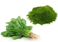 SOS Organic Spinach Powder 100g
