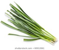 Organic Garlic Leaves 250g