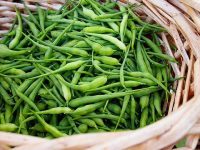 Organic Radish Pods 250g