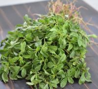 Organic Chavli Leaves