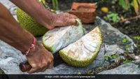Organic Raw Jackfruit Cut 250g (Dapoli)