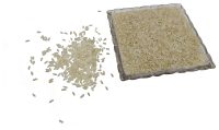 Organic Unpolished Baapatla Rice ( BTP) 1kg