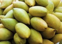 Organic Kalmi Aam ( Mango) 500g