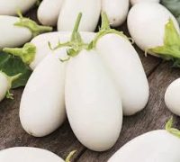 Organic White Brinjal 250gm