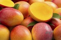 Organic Sindhu Mango 500g (Dapoli)