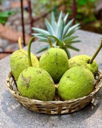 Organic Neer phanas 1pc (Roha)
