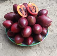 Organic Himalayan Tree Tamatar 500g