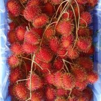 Organic Rambutan 500g (Kodaikanal)