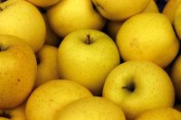 Organic Golden Apples from Himachal 500g