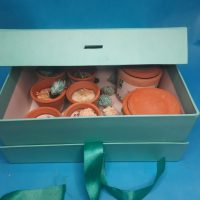 Christmas Gift Hamper Green| Pack of 8 Candles  (Next Day Delivery)