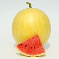 Organic Watermelon Vishala Yellow Skin (Konkan)