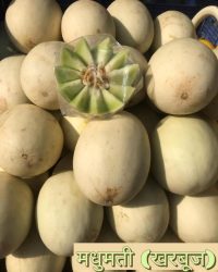 Organic Madhumati Muskmelon (Konkan)