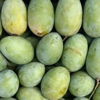 Organic Malda Mango 500gm