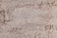 Organic Ragi Malt -500Gms by OOO Farms