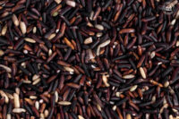 Organic Jasmine Black Rice UnPolished -1Kg by OOO Farms