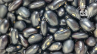 Organic Black Rajma Beans / Kala Ghevda -500gm by OOO Farms