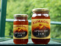 Organic Apricot Jam 250gm by Kumaoni