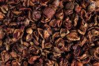 Organic Karvanda Dried Fruit 50gm- by OOO Farms